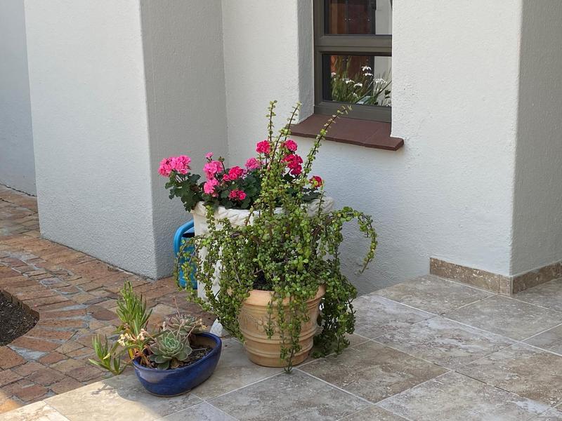 To Let 1 Bedroom Property for Rent in Roundhay Western Cape